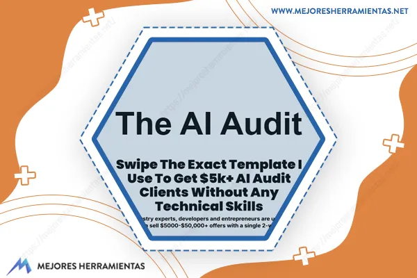 The Ai Audit