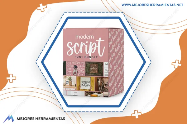 Modern Script Fonts Bundle